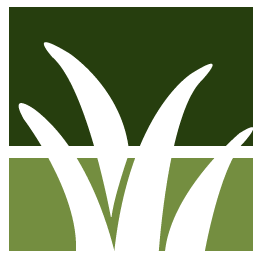 Brush Pile Removal Pros