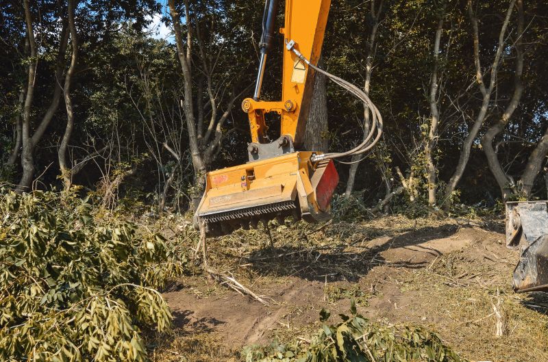 Brush Pile Removal