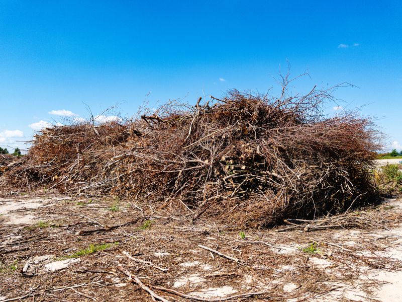 Brush Pile Removal