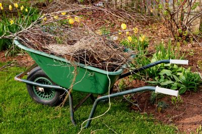 Why Fall And Spring Are The Best Times For Lawn Clean Up