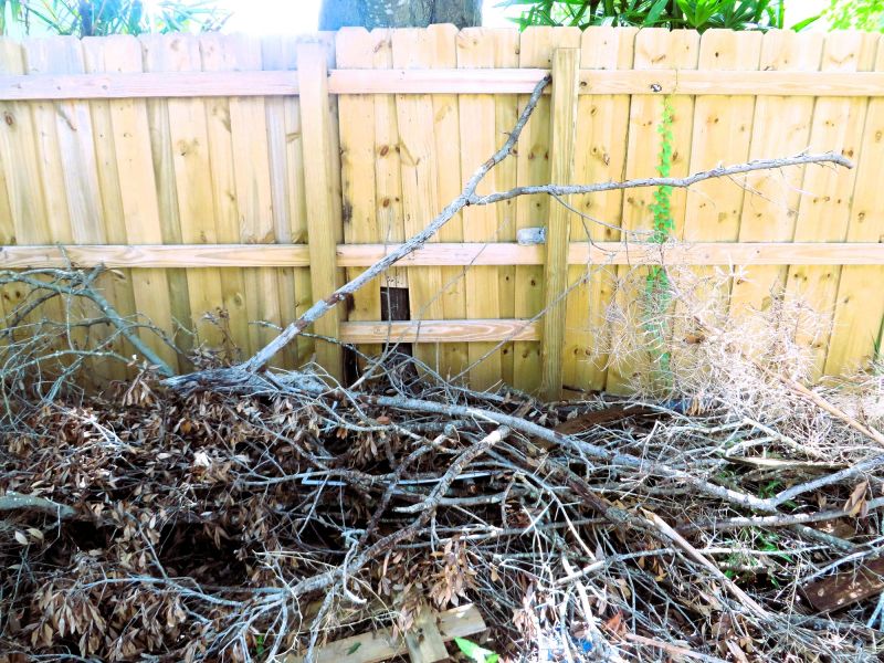 Yard Debris Removal Service
